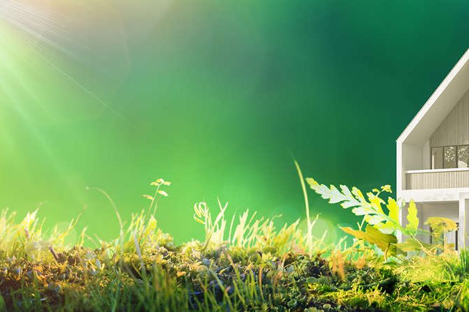 23118_ELC_Site_Magazine_Mako_Enviroment_Friendly_D_1822x450